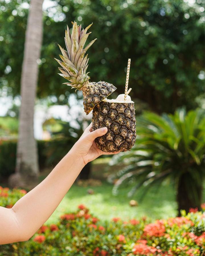Blue Tree Towers Sao Luis Hotel Exterior photo Pineapple juice