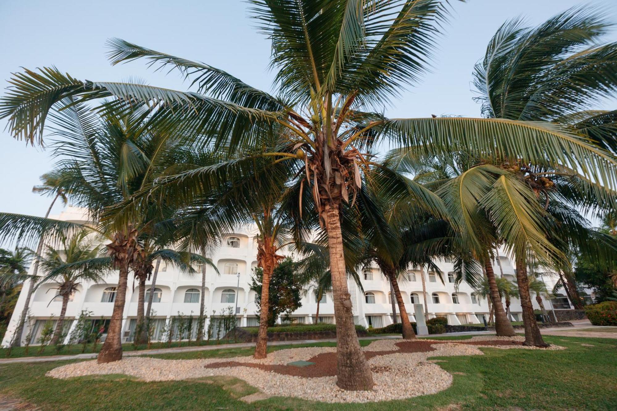 Blue Tree Towers Sao Luis Hotel Exterior photo Coconut trees in the city